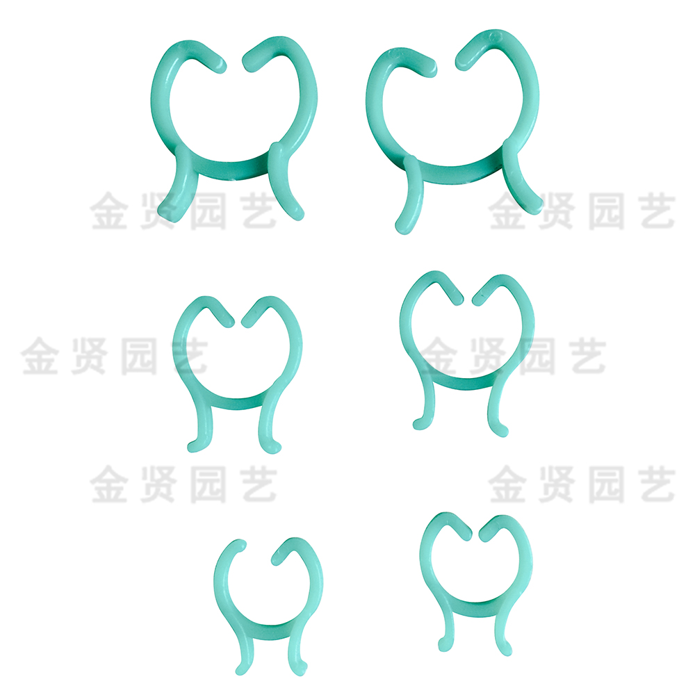 葫蘆扣，園藝圈