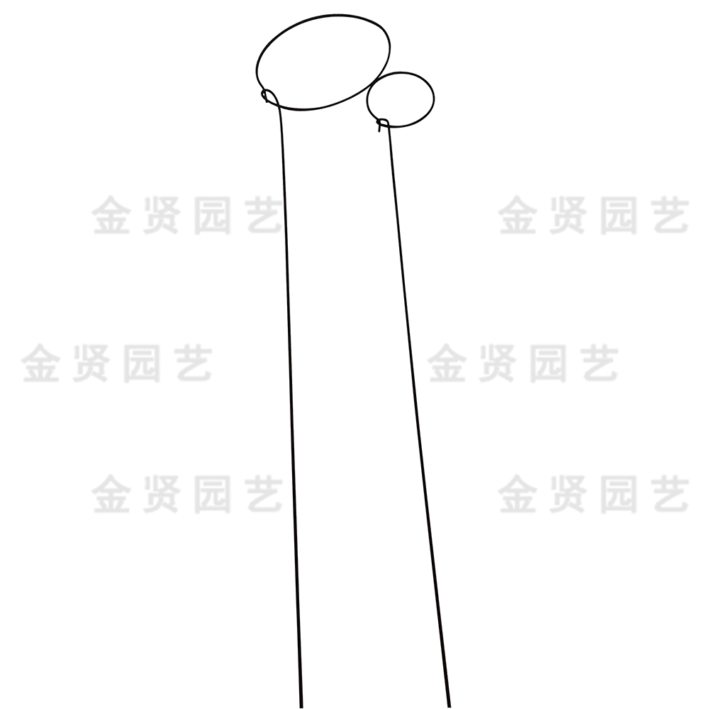 植物支撐